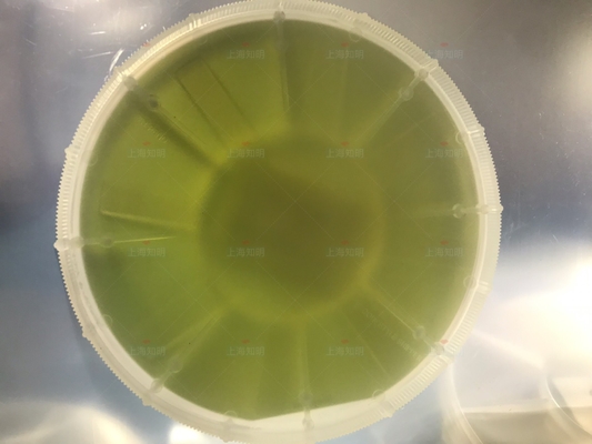 Buy 4inch 6Inch 4H-N 500mm 350um SIC wafer Silicon Carbide sic Substrate Prime Dummy Grade online manufacture